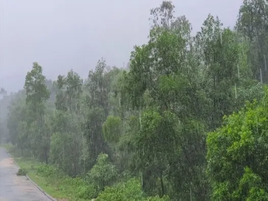 Mưa xối xả là gì? Khi bầu trời trút nước không ngừng nghỉ