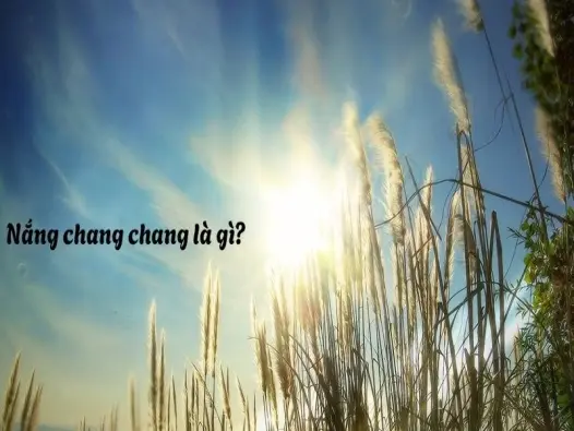 Nắng chang chang là gì? Nguyên nhân khiến trời nắng dữ dội