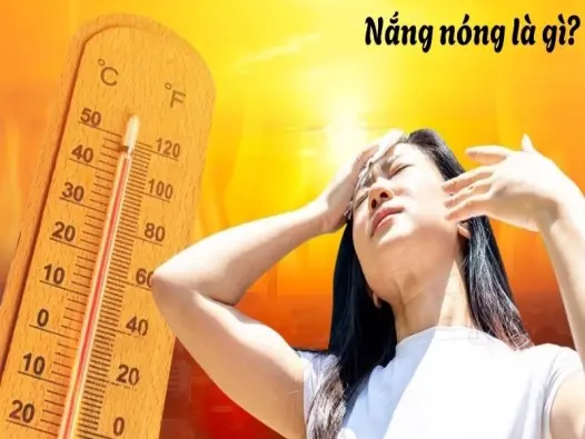 Nắng nóng là gì? Điều gì khiến mặt trời trở nên gay gắt