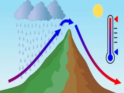 Phân kỳ gió là gì? Cơ chế điều hòa không khí tự nhiên