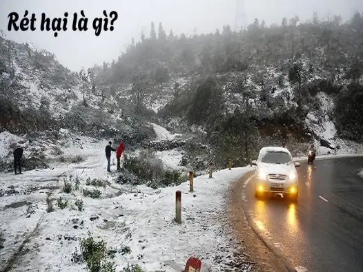 Rét hại là gì? Hiện tượng cảnh báo thời tiết nguy hiểm