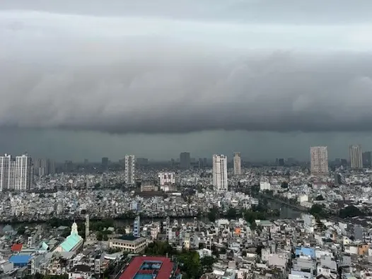 Sắp mưa là gì? Những tín hiệu tự nhiên ít ai để ý đến