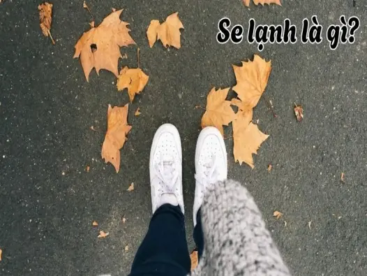 Se lạnh là gì? Nhiệt độ và độ ẩm thay đổi trong khí quyển