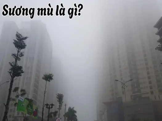 Sương mù là gì và mối liên hệ của nó với thời tiết lạnh