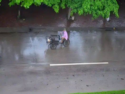 Tạnh mưa là gì? Khoảnh khắc kỳ diệu sau cơn mưa lớn