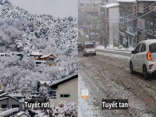 Tuyết tan là gì? Hé lộ bí mật về chu trình tan băng tự nhiên