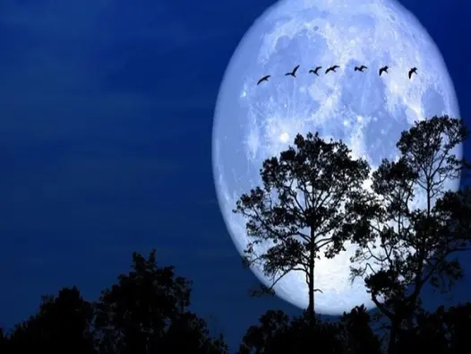 Vầng trăng là gì? Hiện tượng tự nhiên đầy mê hoặc