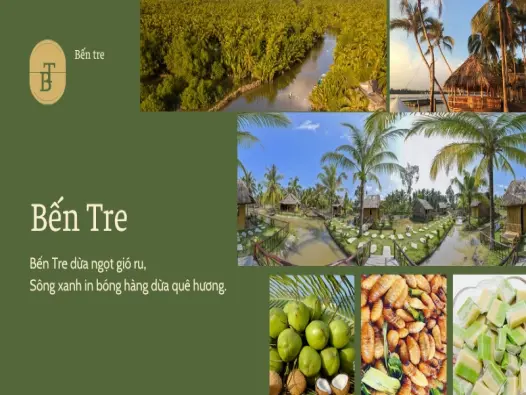 Cẩm nang du lịch Bến Tre- Khí hậu, Mùa đẹp & Lời khuyên A-Z