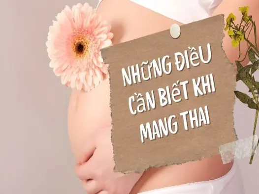 Những điều cần biết khi mang thai để mẹ tròn con vuông