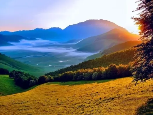 Bộ sưu tập ảnh phong cảnh núi rừng mang vẻ đẹp lôi cuốn