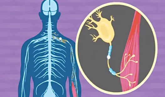 Tiểu sử Lou Gehrig huyền thoại cú đánh và cuộc chiến số phận