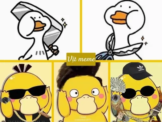 Cười té ghế với bộ ảnh vịt meme hài hước lưu ngay đi cmt dạo
