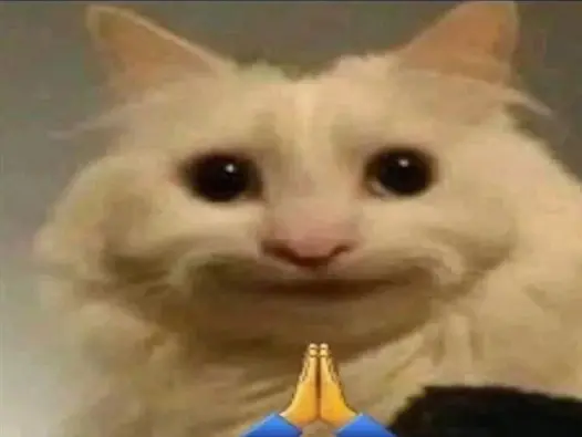 Cười té ghế với bộ sưu tập ảnh vẽ mèo meme siêu bựa giải trí cực mạnh