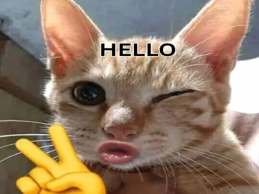 Cười xỉu với bộ ảnh hello meme hài hước nhất hệ mặt trời