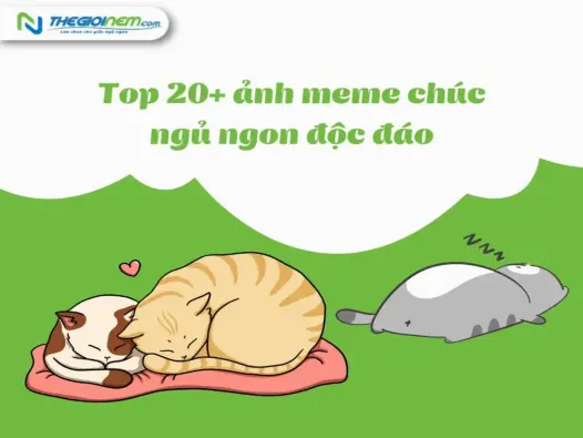 Cười xỉu với loạt ảnh meme chúc ngủ ngon bựa nhất quả đất dành cho hội cú đêm