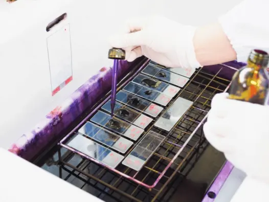 Giải thích chi tiết khái niệm Gram là gì và vai trò quan trọng