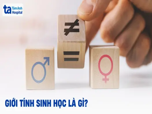 Giới tính là gì và cách phân biệt các khái niệm cơ bản liên quan