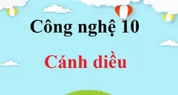 Hình chiếu vuông góc là gì và ứng dụng quan trọng trong toán học