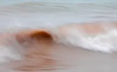 Hình oval là gì và những ứng dụng thực tế bạn cần biết