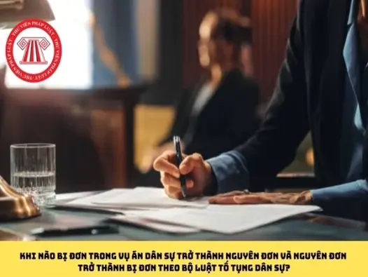 Khái niệm nguyên đơn là gì và vai trò trong vụ án dân sự