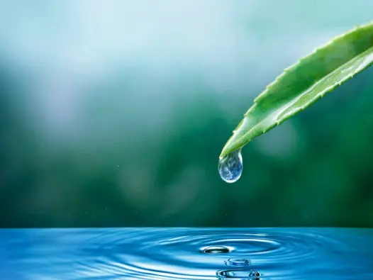 Nguồn nước sạch là gì và các tiêu chuẩn nhận biết cơ bản