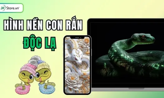 Tổng hợp bộ hình nền con rắn sắc nét và ấn tượng nhất