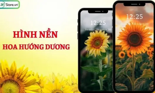 Tổng hợp bộ hình nền hoa hướng dương rực rỡ và tràn đầy sức sống