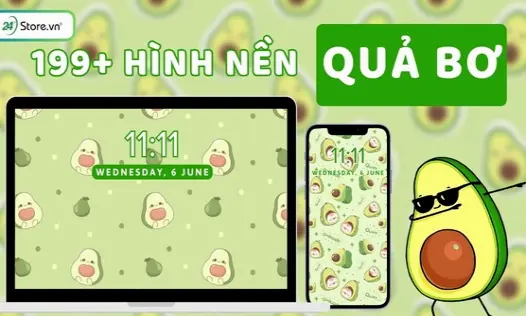 Tổng hợp bộ hình nền quả bơ siêu dễ thương dành cho điện thoại năm 2026