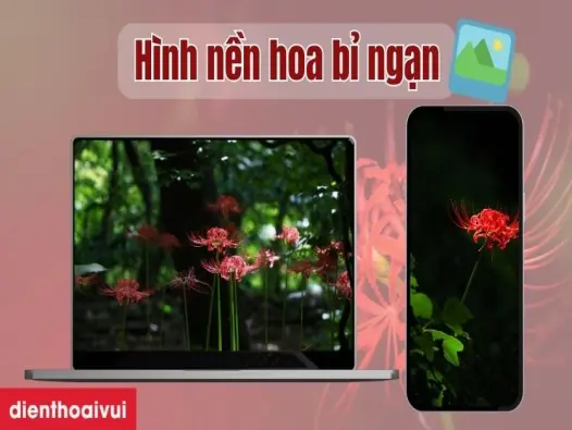 Tổng hợp hình nền hoa bỉ ngạn đẹp ma mị và cuốn hút nhất