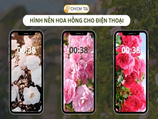 Tổng hợp những mẫu hình nền hoa hồng tuyệt đẹp dành cho điện thoại và máy tính