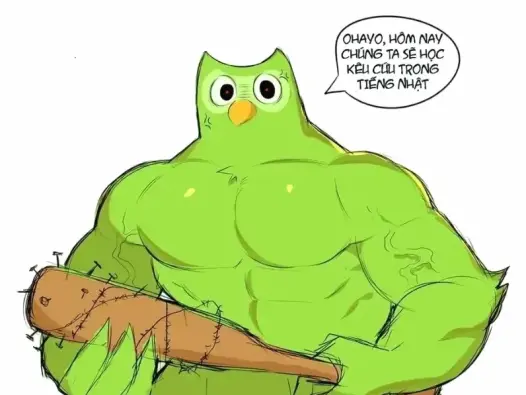 Tuyển tập ảnh duolingo meme siêu lầy lội khiến bạn cười té ghế