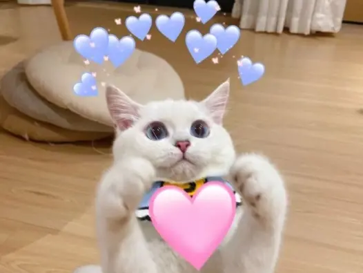 Tuyển tập ảnh meme tình yêu hài hước chấn động giúp bạn thoát ế