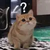 Cười ngất với 30 ảnh meme khó hiểu siêu hài hước tải ngay kẻo lỡ