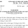 Dự thảo nghị định hướng dẫn luật BHXH 2024 mới nhất