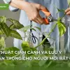 Giâm cành là gì và quy trình nhân giống cây trồng hiệu quả
