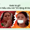 Gobi là gì Giải mã trào lưu Gobi trên các mạng xã hội