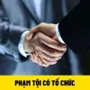 Hướng dẫn về phạm tội có tổ chức và những điều bạn cần biết