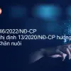 Nghị định 13 hướng dẫn luật chăn nuôi chi tiết mới nhất