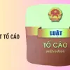 Nghị định 31/2019/NĐ-CP hướng dẫn Luật Tố cáo chi tiết