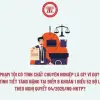 Nghị quyết hướng dẫn phạm tội có tính chất chuyên nghiệp là gì
