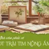 Nhà văn là gì và những điều cần biết về người nghệ sĩ ngôn từ