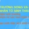 Nhân tố sinh thái là gì và các nhóm nhân tố sinh thái cơ bản