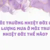Nhiệt đới là gì và những đặc trưng cơ bản bạn cần nắm rõ