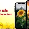 Tổng hợp 20 hình nền hoa màu xanh dương đẹp nhất năm 2026