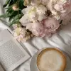 Tổng hợp bộ hình nền hoa mẫu đơn hồng cực kỳ sắc nét và tinh tế