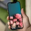 Tổng hợp bộ hình nền hoa mẫu đơn trắng tuyệt đẹp tinh khôi