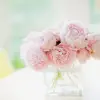 Tuyển tập những mẫu hình nền máy tính hoa mẫu đơn đẹp rực rỡ nhất