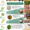 Complete guide to natural remedies for dog allergies and itchy skin