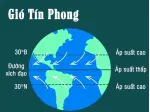 Gió tín phong là gì và những đặc điểm ảnh hưởng đến khí hậu