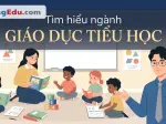 Khái niệm giáo dục tiểu học là gì và những điều cần biết